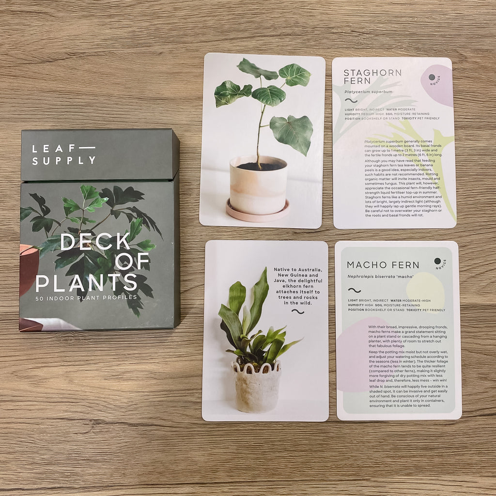 Leaf Supply Deck of Plants: 50 Indoor Plant Profiles - Lyla's: Clothing, Decor & More - Plano Boutique