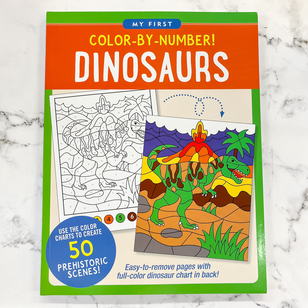My First Color-by-Number! Dinosaurs - Lyla's: Clothing, Decor & More - Plano Boutique