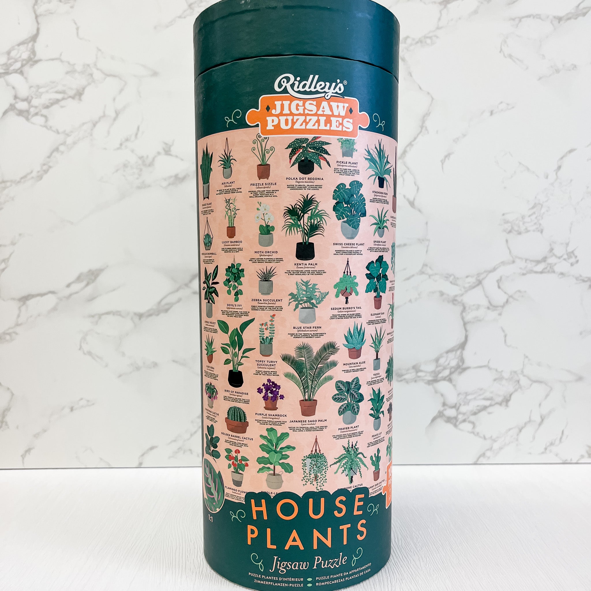 house plant puzzles House Plants 1000 Piece Jigsaw Puzzle