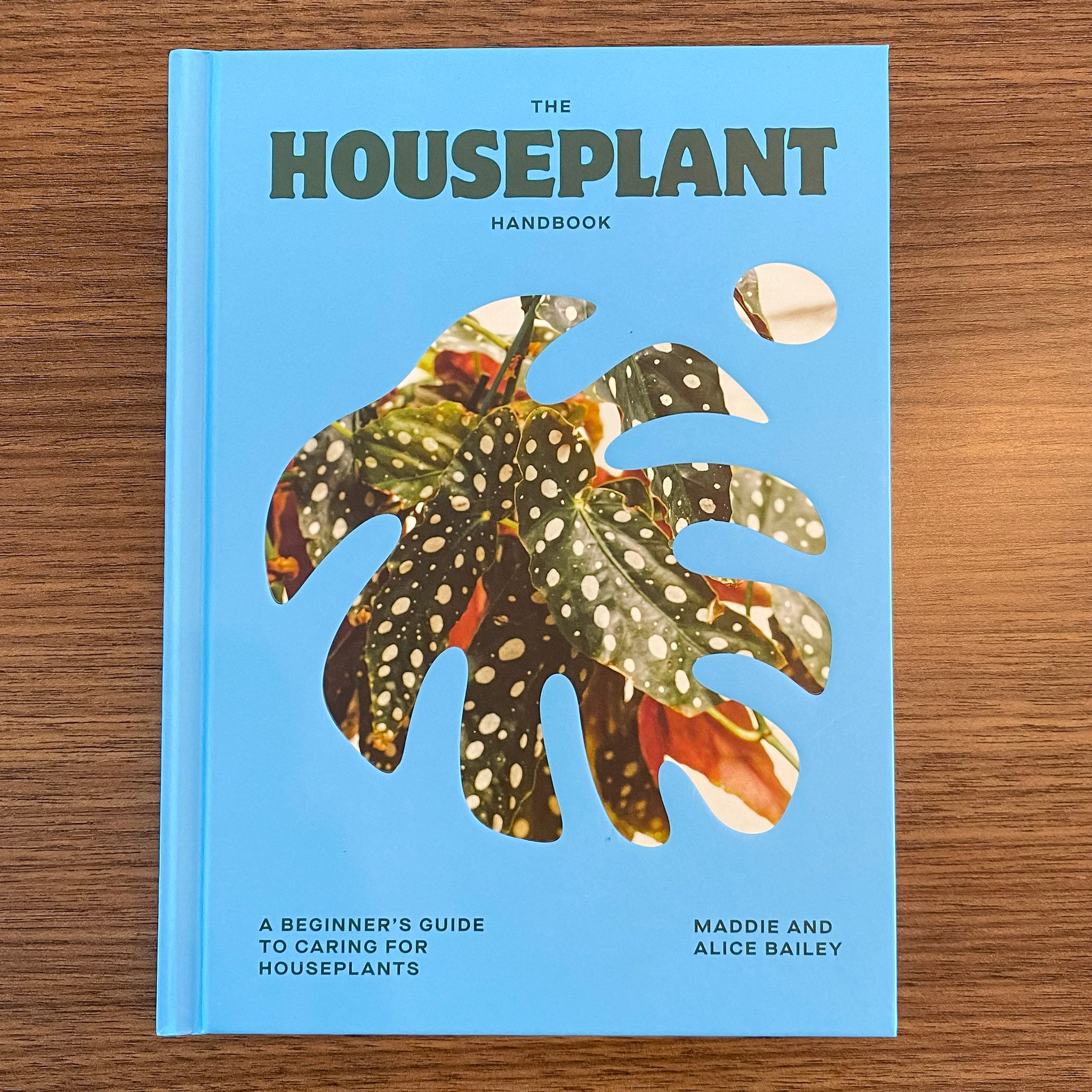 house plant guide book The Houseplant Handbook: A Beginner’s Guide to Caring for Houseplants
