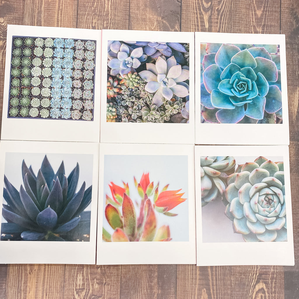 Succulent Garden Notecards - Lyla's: Clothing, Decor & More - Plano Boutique