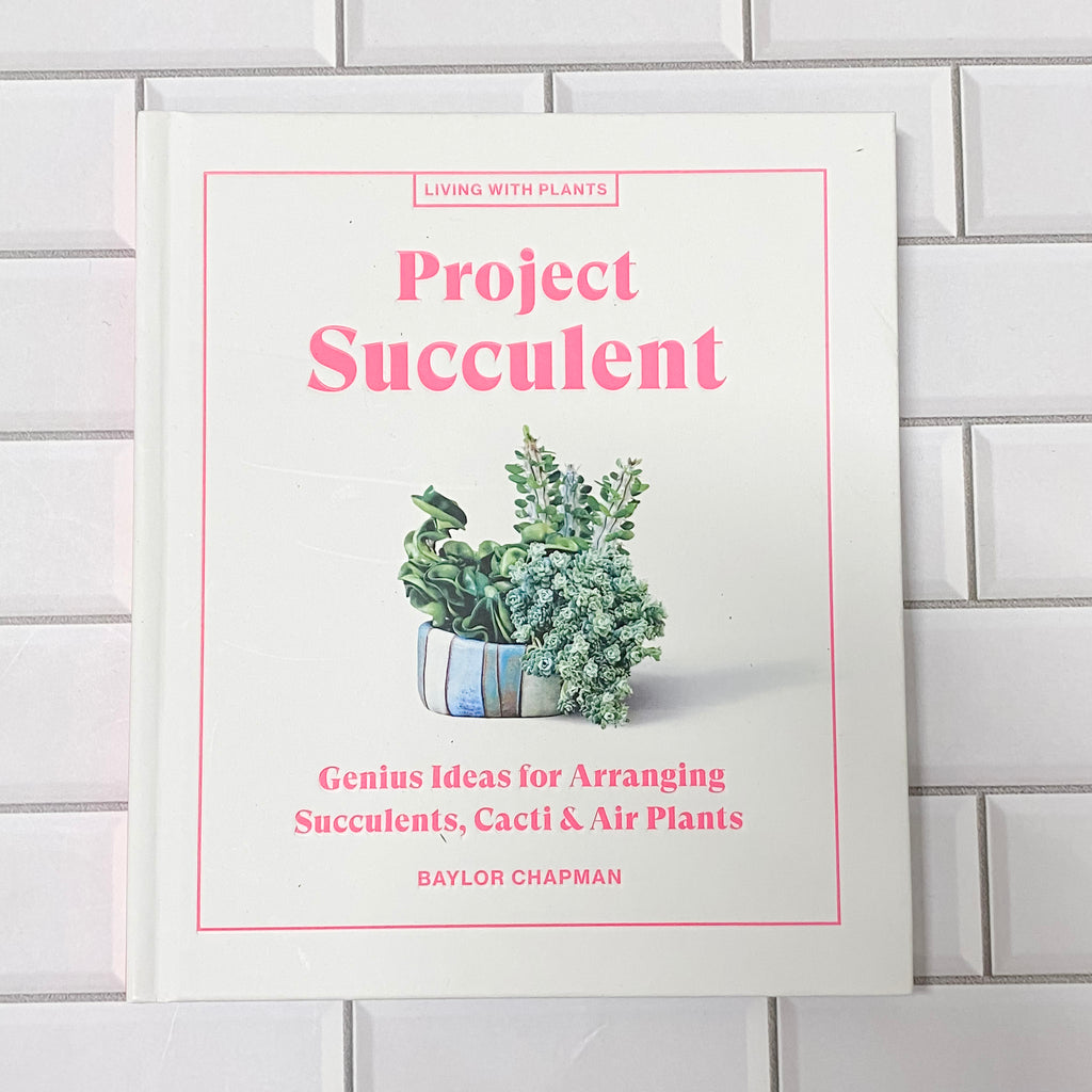 Project Succulent: Genius Ideas for Arranging Succulents, Cacti & Air Plants - Lyla's: Clothing, Decor & More - Plano Boutique