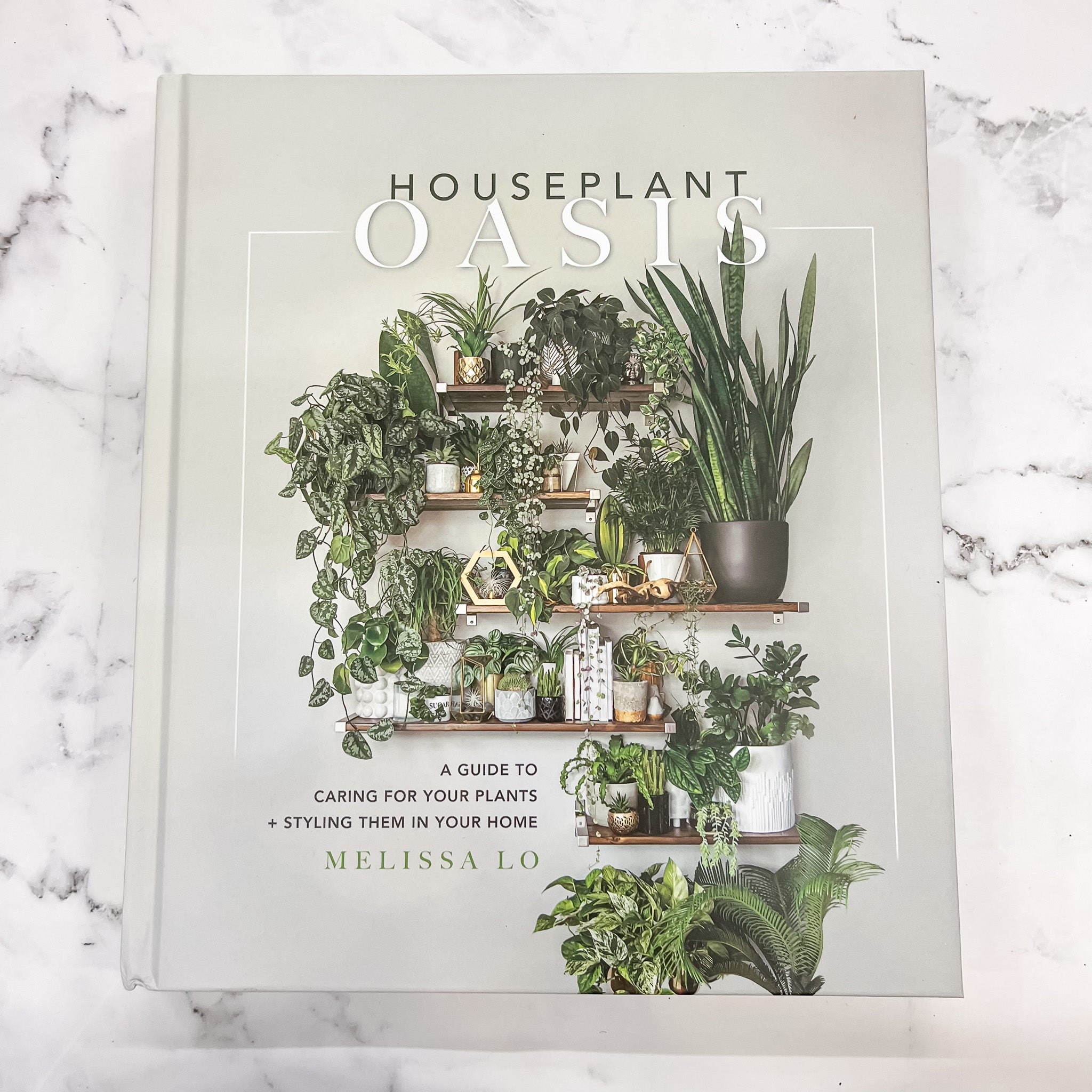 house plant care guide book Houseplant Oasis: A Guide to Caring for Your Plants + Styling Them in Your Home