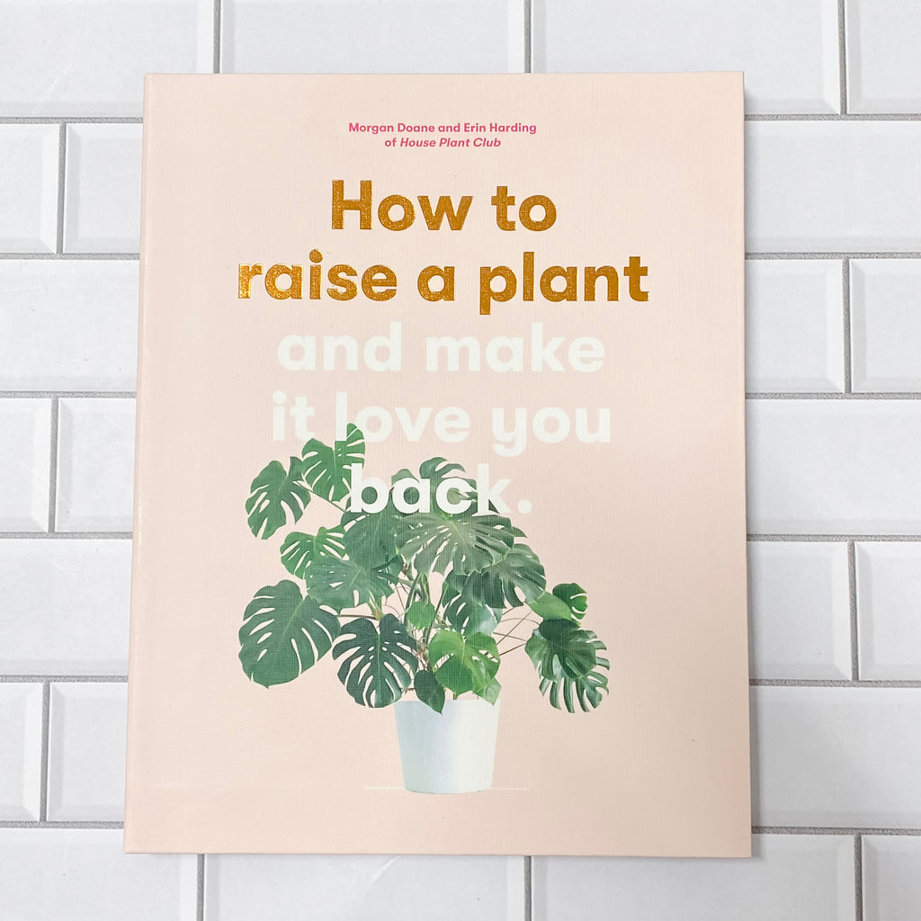How to Raise a Plant: and Make It Love You Back - Lyla's: Clothing, Decor & More - Plano Boutique