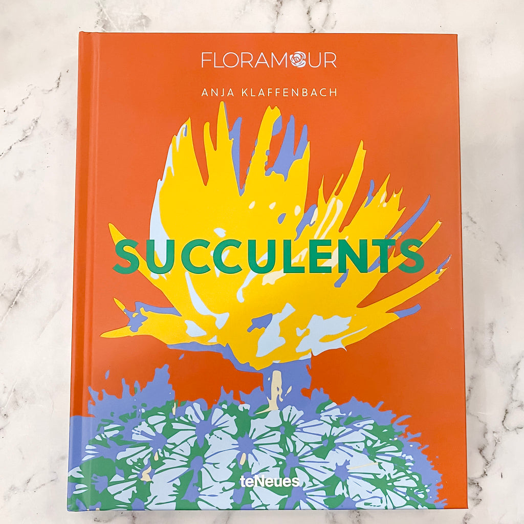 Succulents (Floramour) - Lyla's: Clothing, Decor & More - Plano Boutique