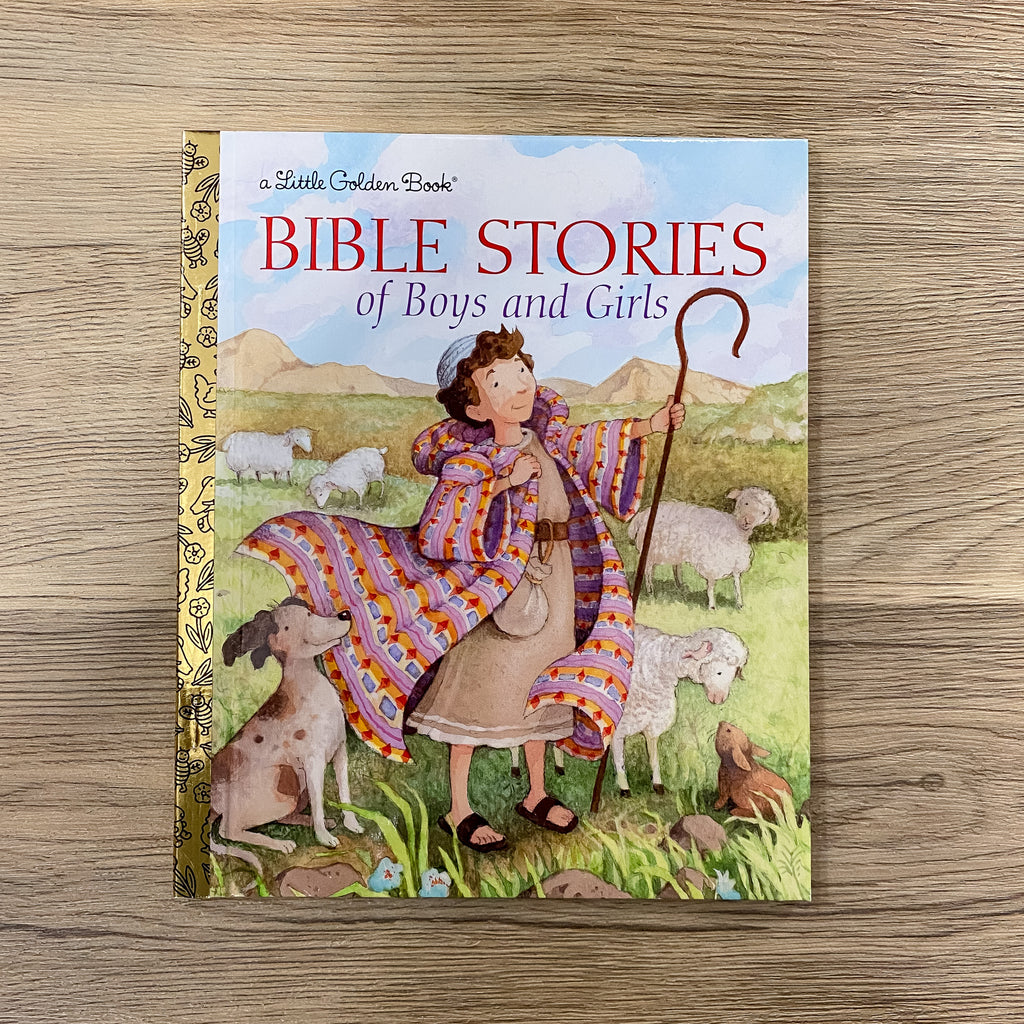 Bible Stories of Boys and Girls - Lyla's: Clothing, Decor & More - Plano Boutique