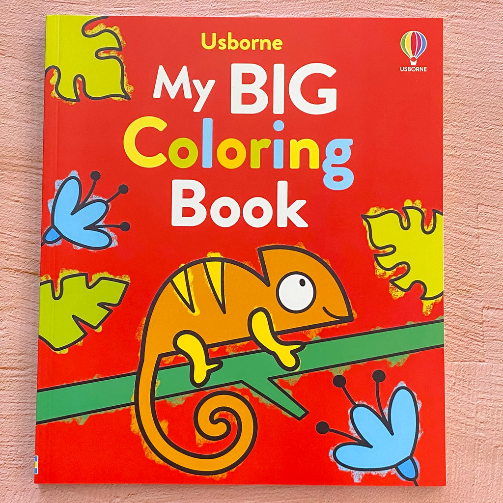 My Big Coloring Book - Lyla's: Clothing, Decor & More - Plano Boutique