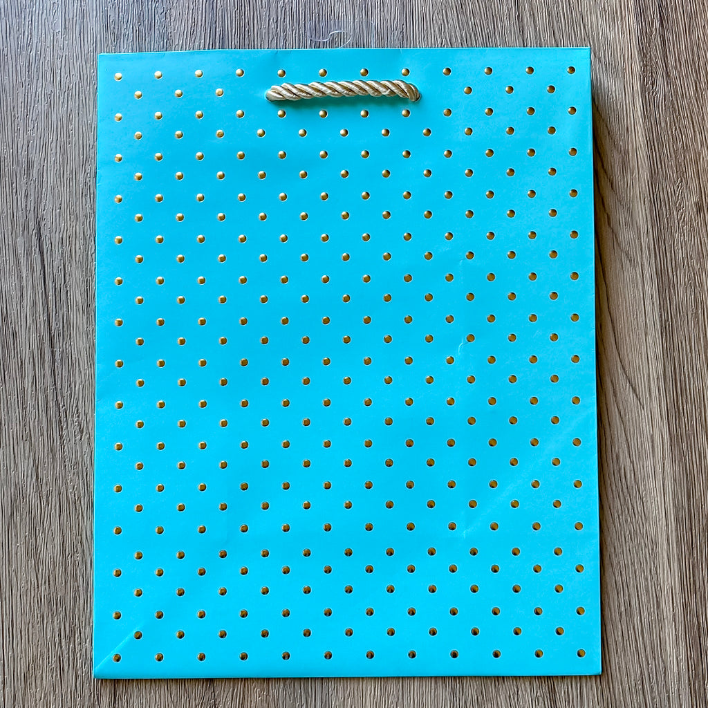 Gold Dot Medium Swiss Bag - Robins Egg - Lyla's: Clothing, Decor & More - Plano Boutique