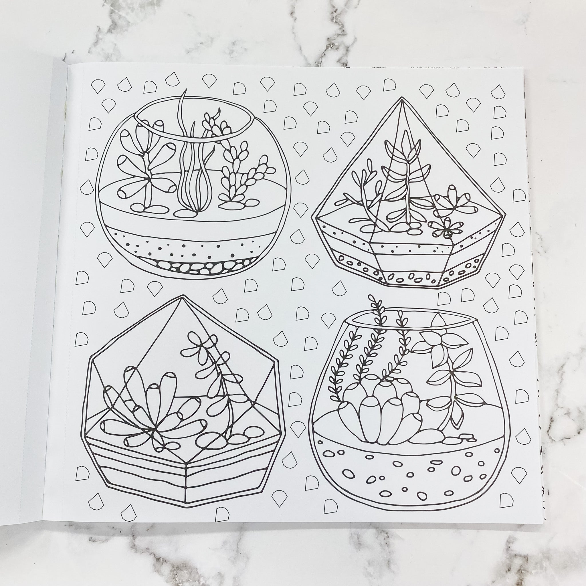 Succulents Adult Coloring Book