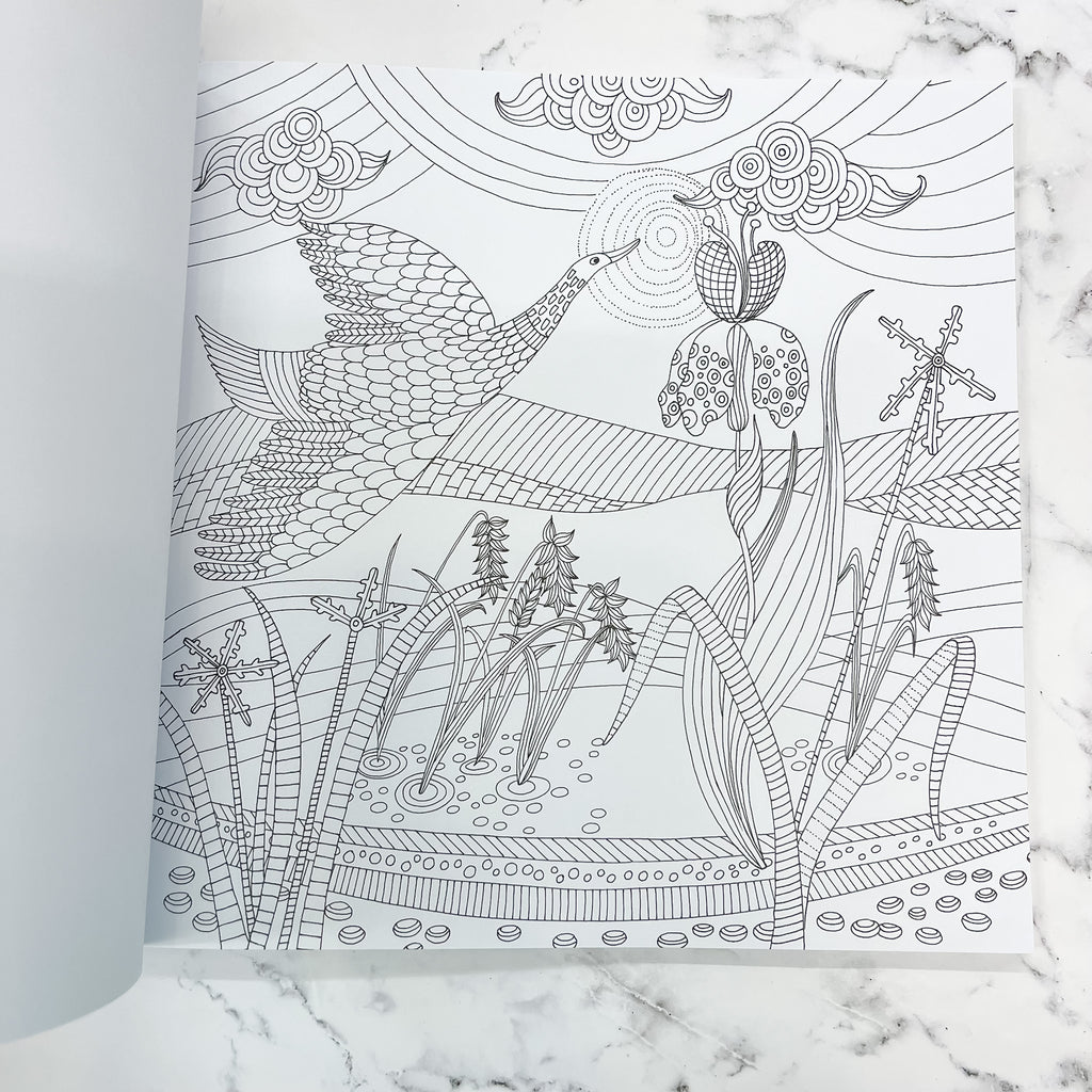 Zen Garden Adult Coloring Book - Lyla's: Clothing, Decor & More - Plano Boutique