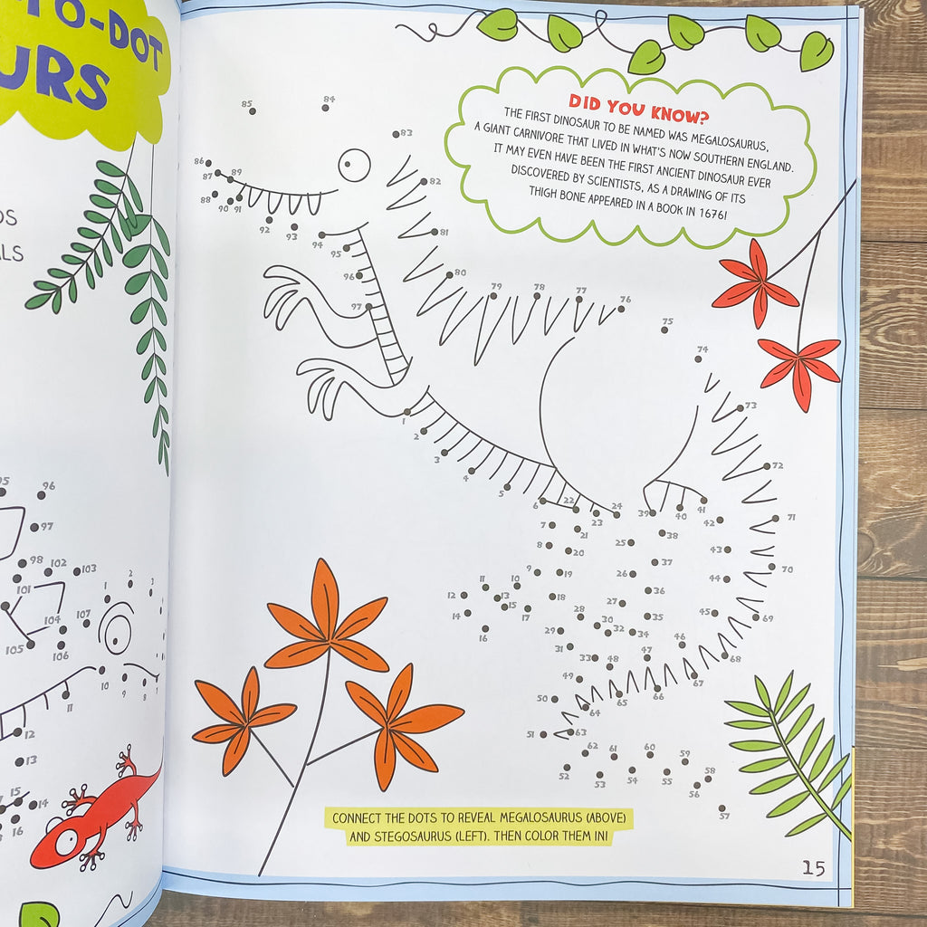 Dinosaur and Friends Activity Book - Lyla's: Clothing, Decor & More - Plano Boutique