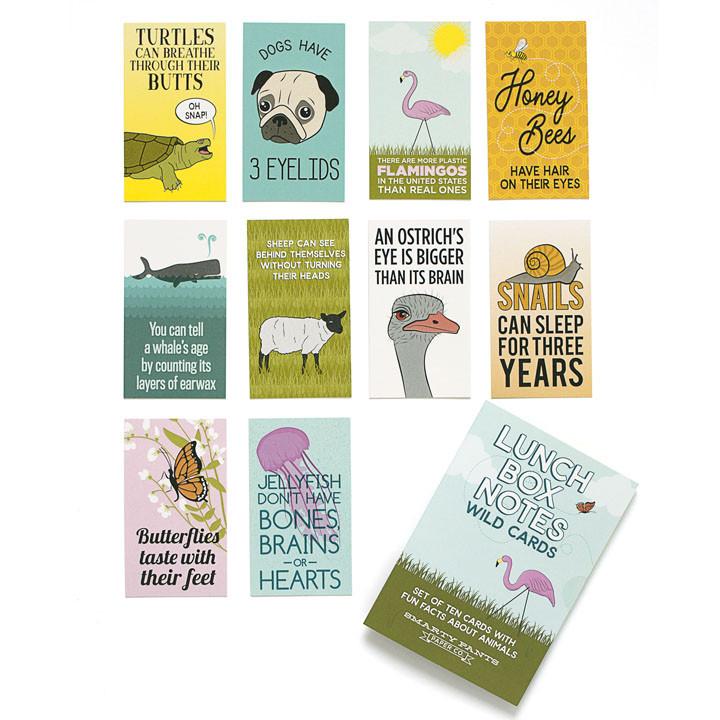 Wild Card Lunch Box Notes - Lyla's: Clothing, Decor & More - Plano Boutique